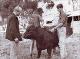 Preparing Bull for Adelaide Show 1962.jpg.jpg