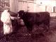 1922 Cattle b.JPG.jpg
